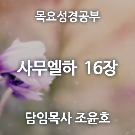 11_사무엘하_16장