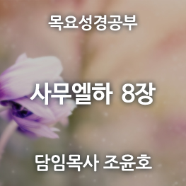 3_사무엘하_8장