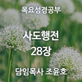 사도행전-28
