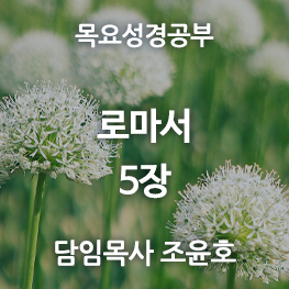 로마서5