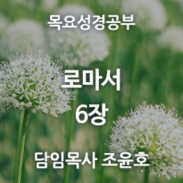 로마서6