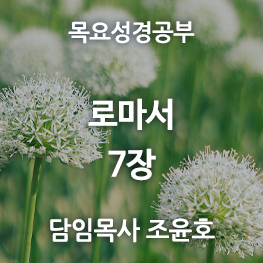 로마서7