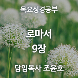 로마서9