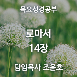 로마서14