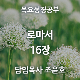 로마서16