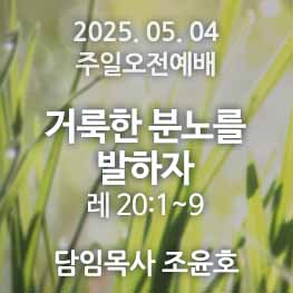 250504