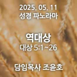 250511