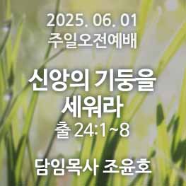 250601