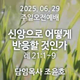250629