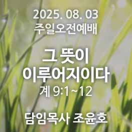 250803