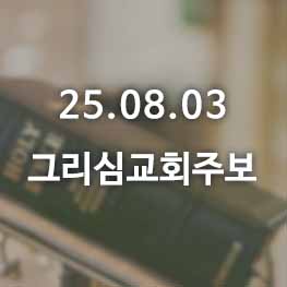 250803
