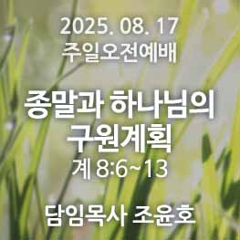 250817