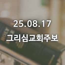 250817